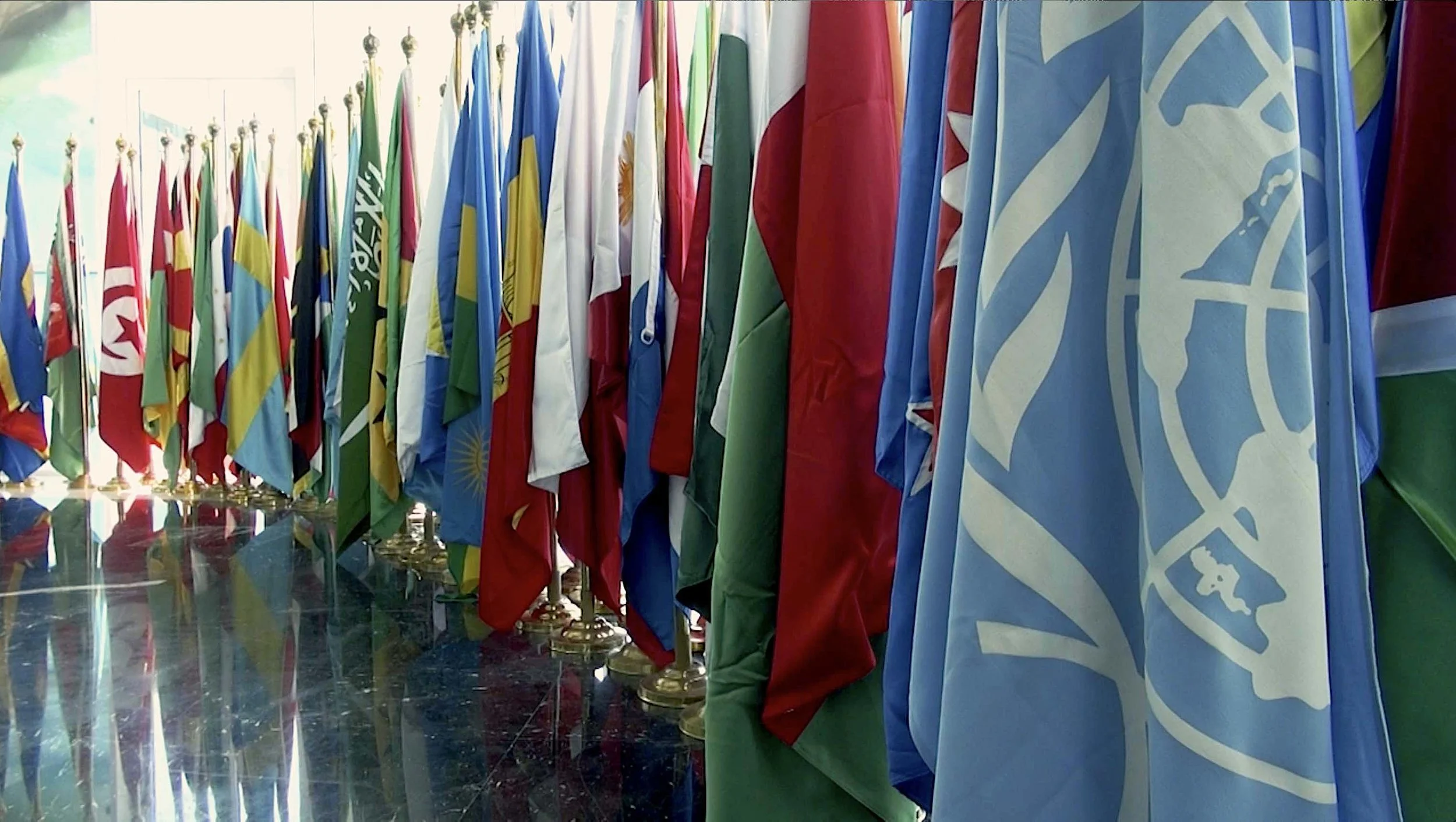FLAGS at COP14cbd.jpg