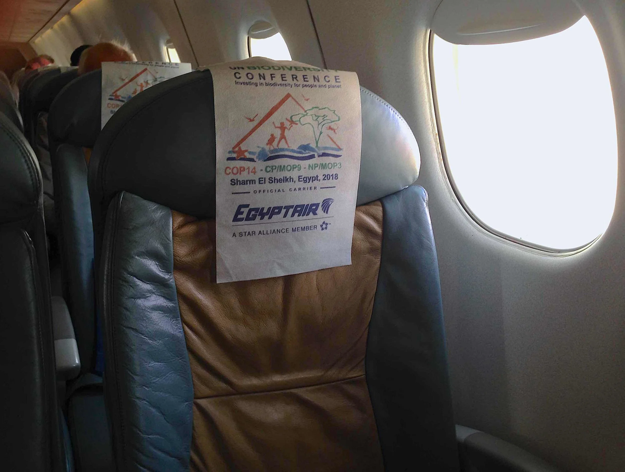 Cop on Egypt Air.jpg