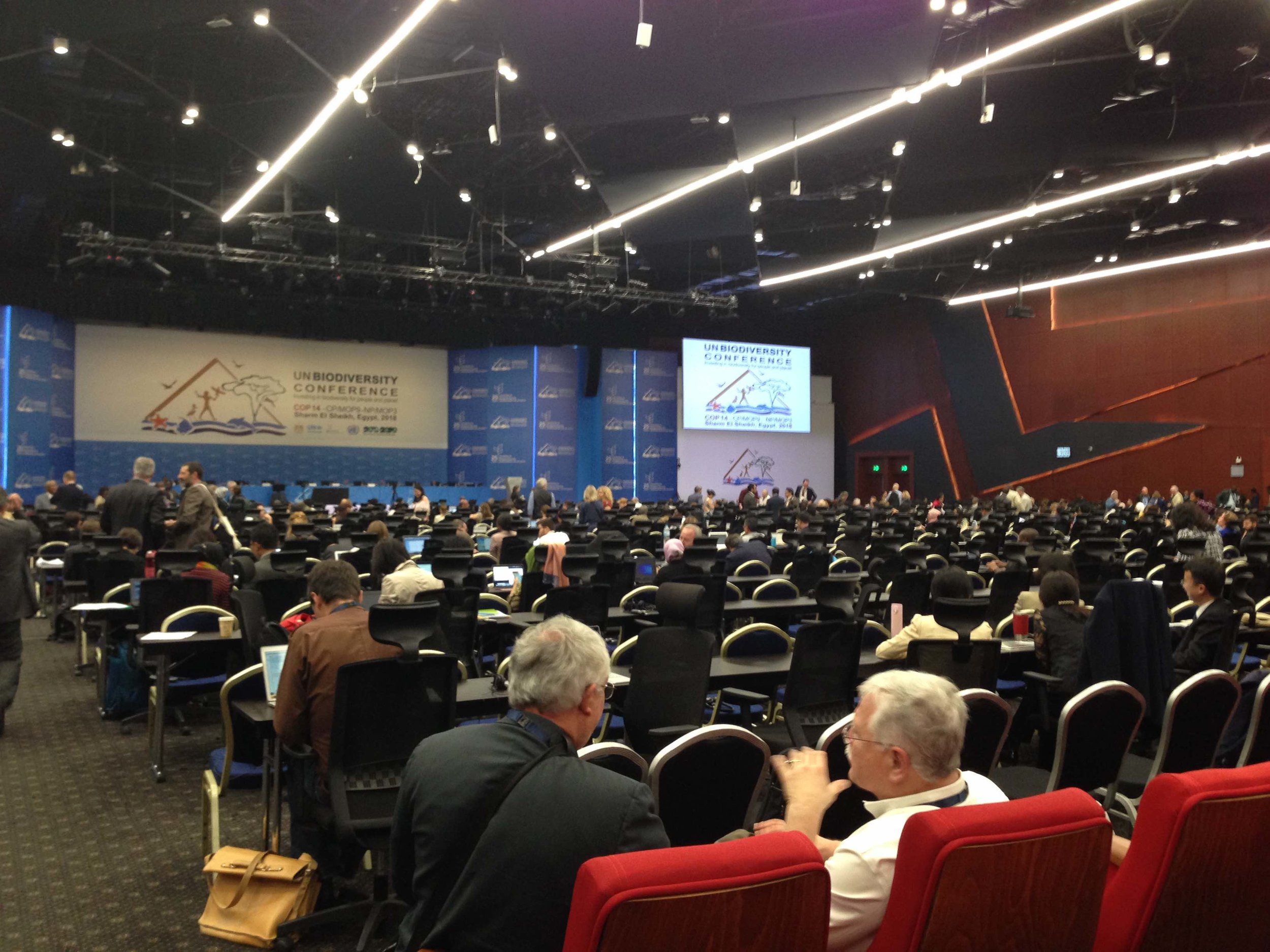 13@cop14FEActivate.jpeg