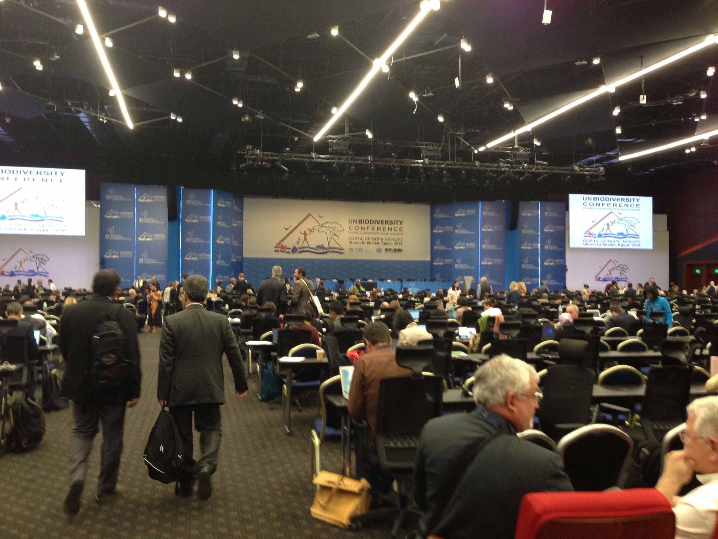 12@cop14FEActivate.jpeg