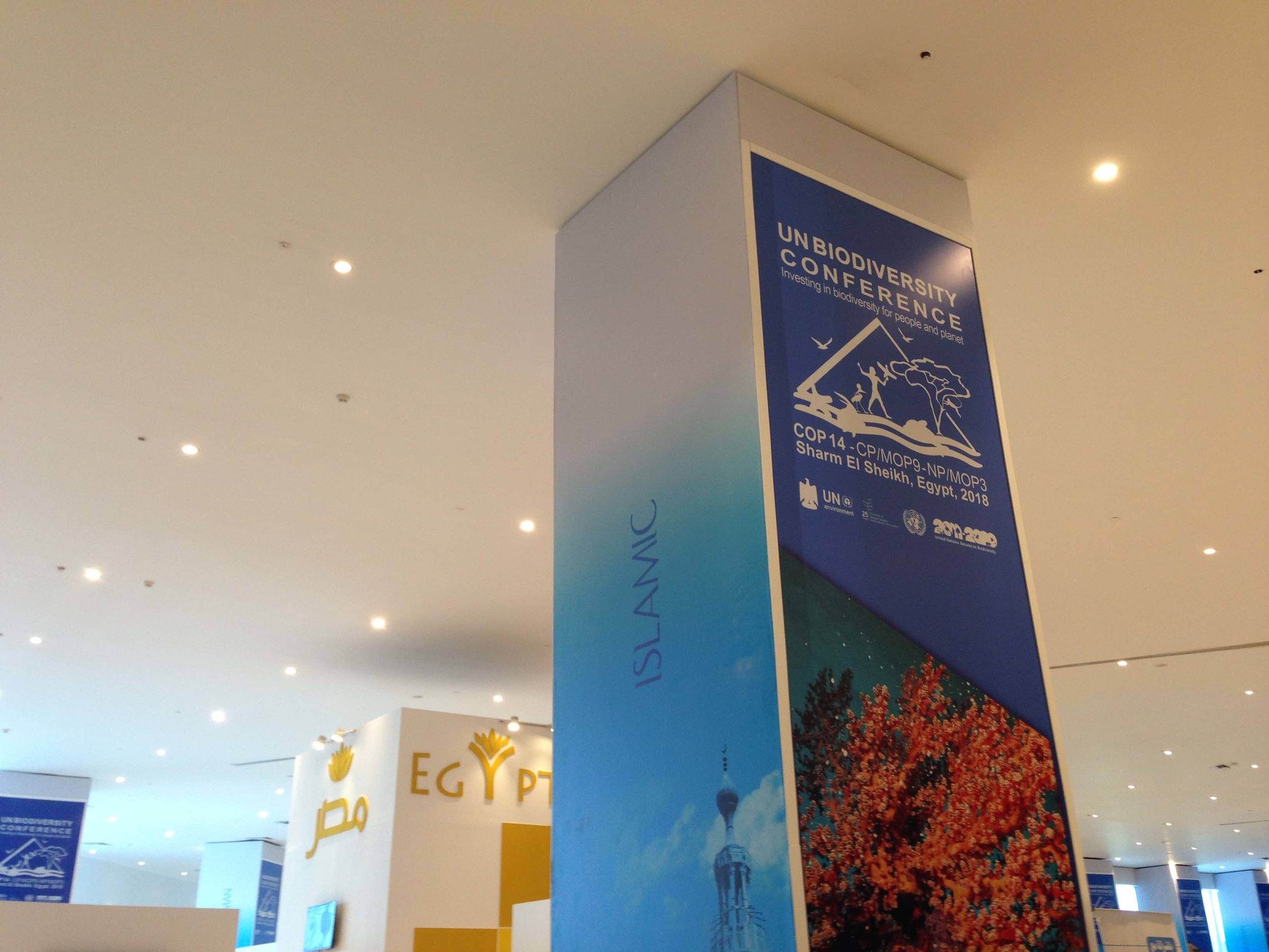 3@cop14FEActivate.jpeg