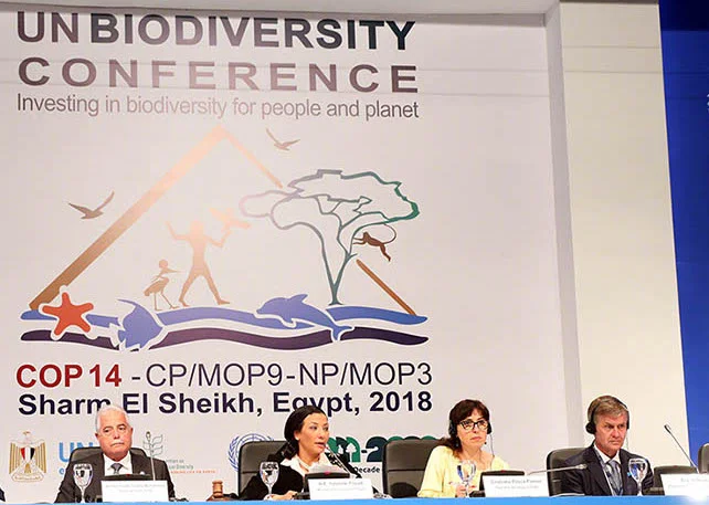 from cop14.3.jpg