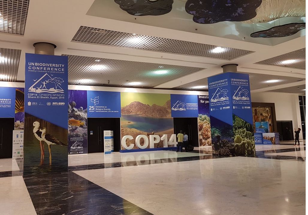from.cop14.jpg