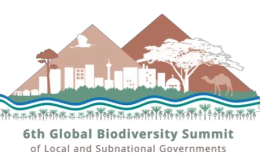 Summitlogo.jpg