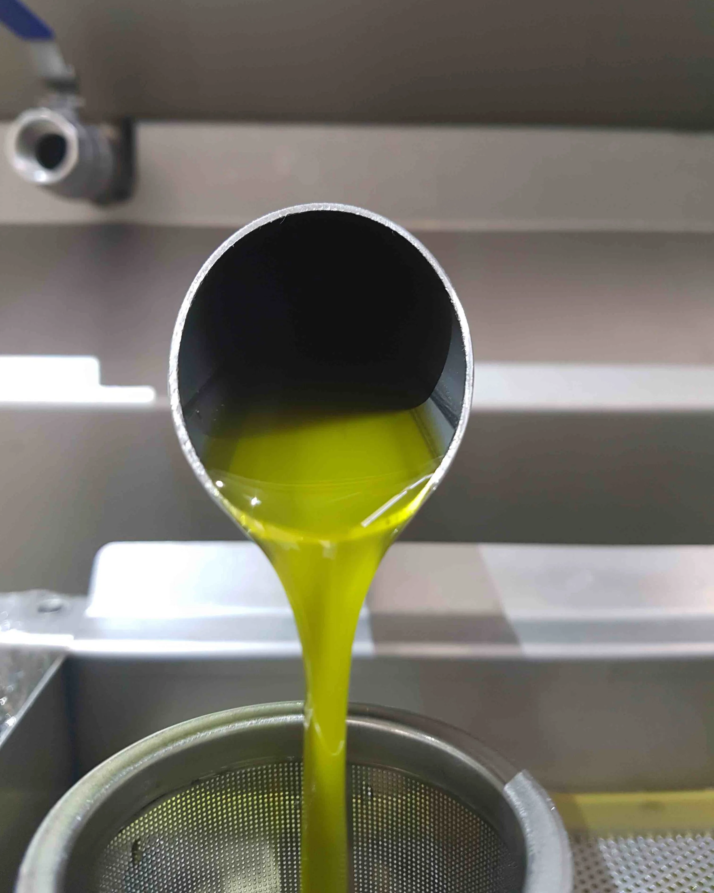 Independently analyzed at the Dept of Pharmacology & Natural Product Chemistry of the University of Athens, using Nuclear Magnetic Resonance to measure phenolic content, this extra virgin organic olive oil set the record for the highest concentrations of oleocanthal and the highest total phenolic compounds ever recorded. This granted it a ‘pharmaceutical grade’ health and nutrition certification, but also officially classified it that year as the healthiest olive oil in the world.