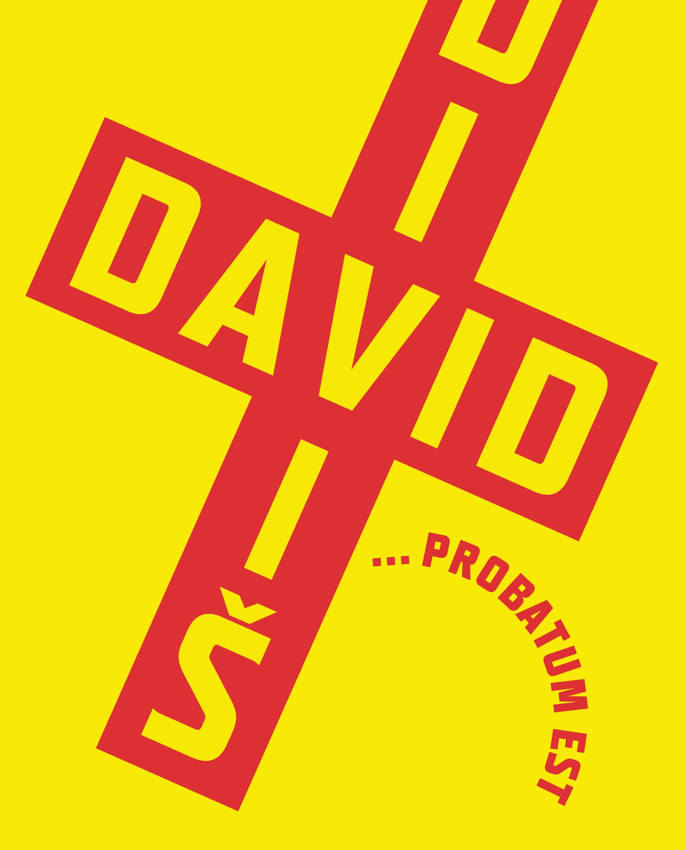 Jiří David - Stanislav Diviš - ...probatum est (cena 280,-)
