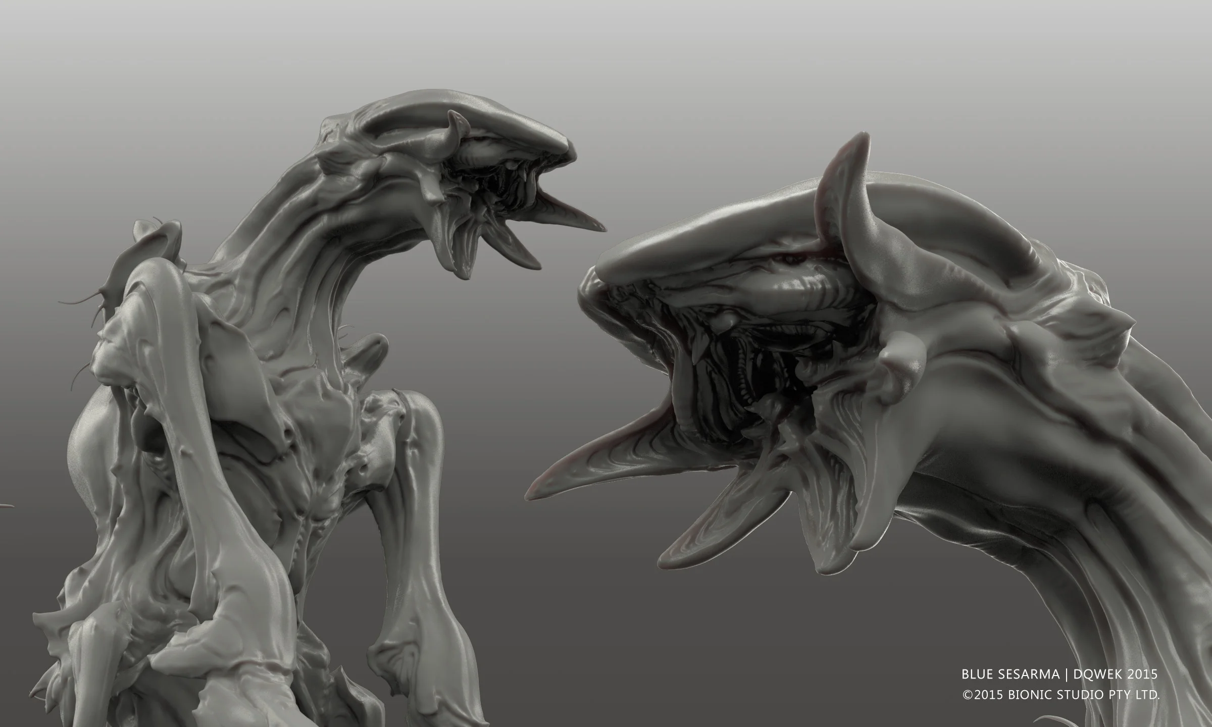 Sesarma_Evolved_Grey_MouthDetail.jpg
