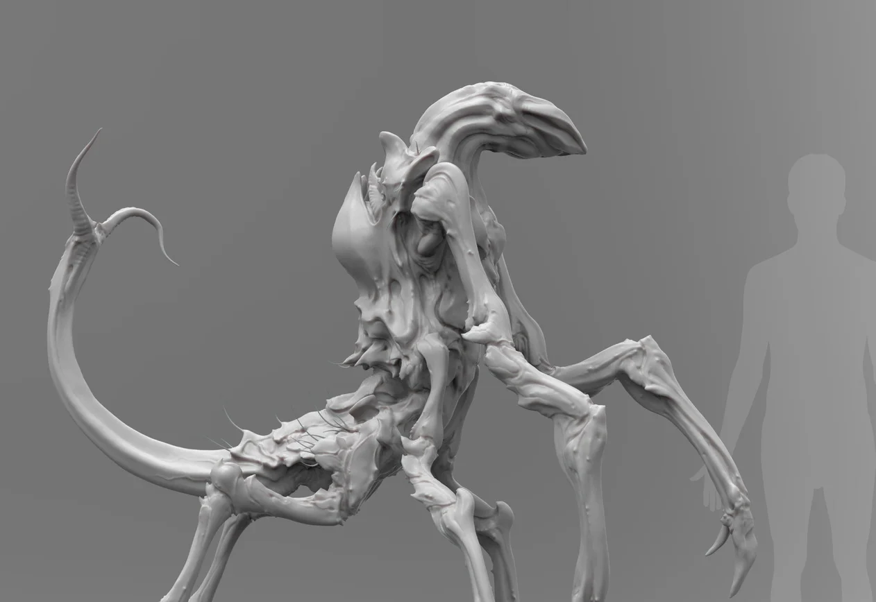 Sesarma_Evolved_Grey03.jpg