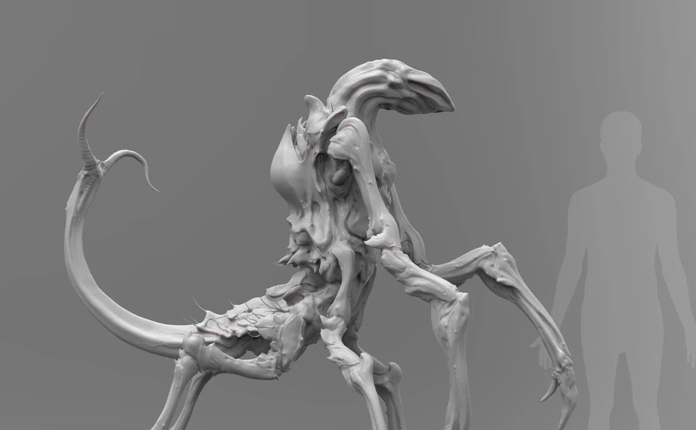 Sesarma_Evolved_Grey03.jpg