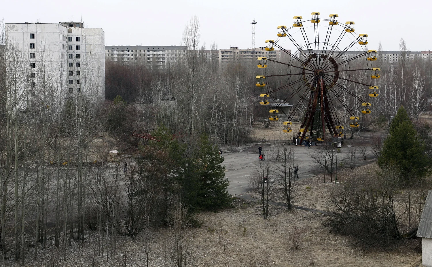 chernobal.jpg