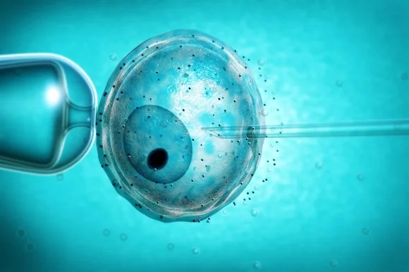 IVF_265967k.jpg