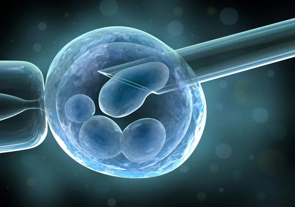 invitro2.jpg