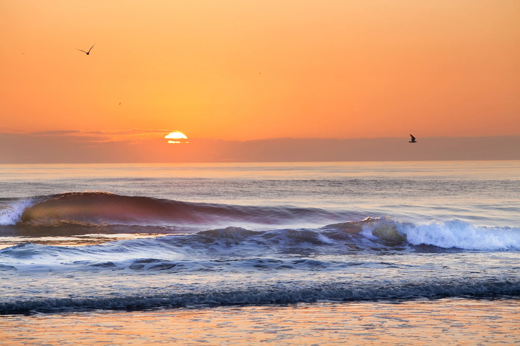florida-ocean.jpg