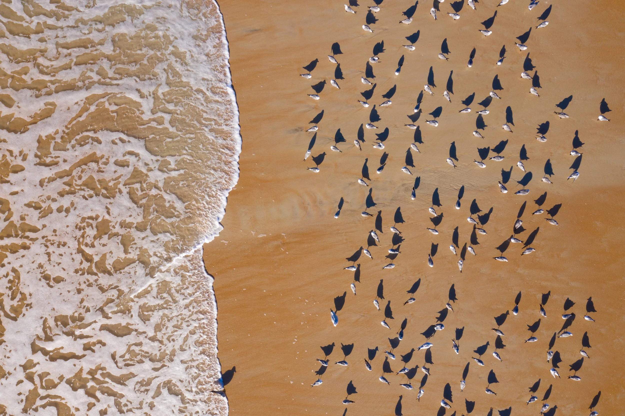 DJI_0696.jpg