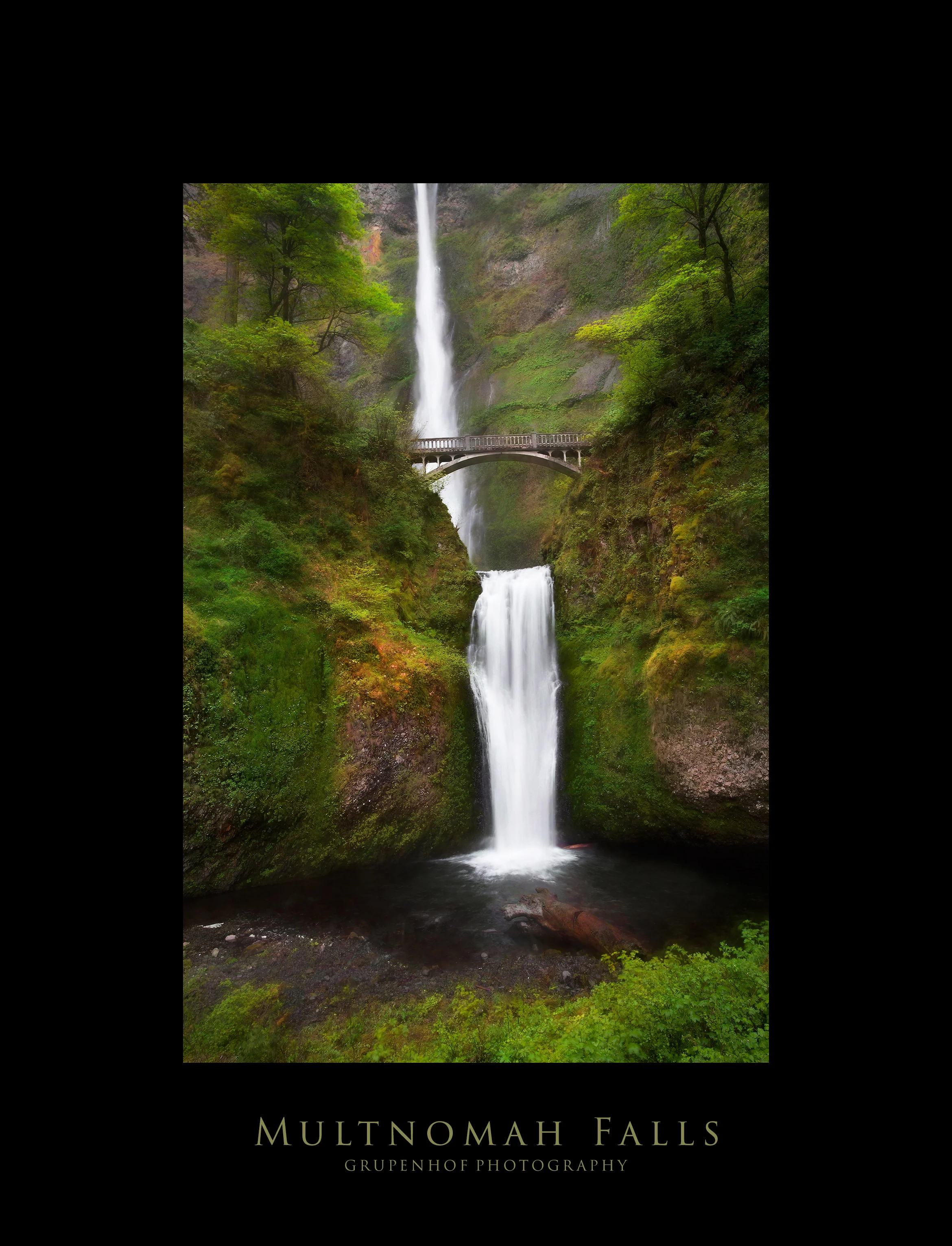 multnomah-vertical.jpg