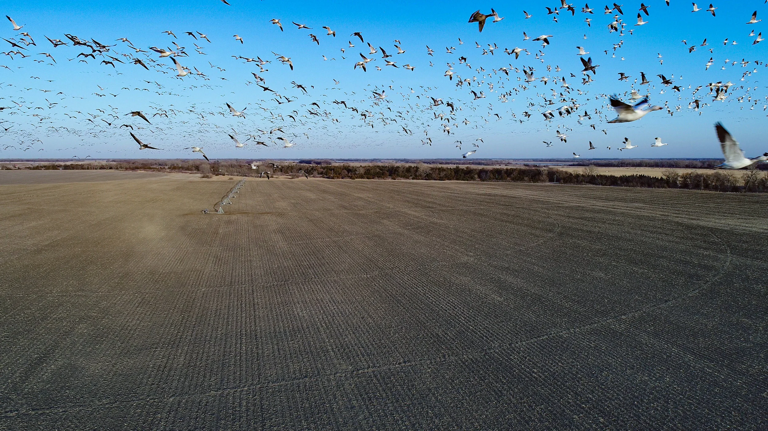 DJI_0207-1.jpg