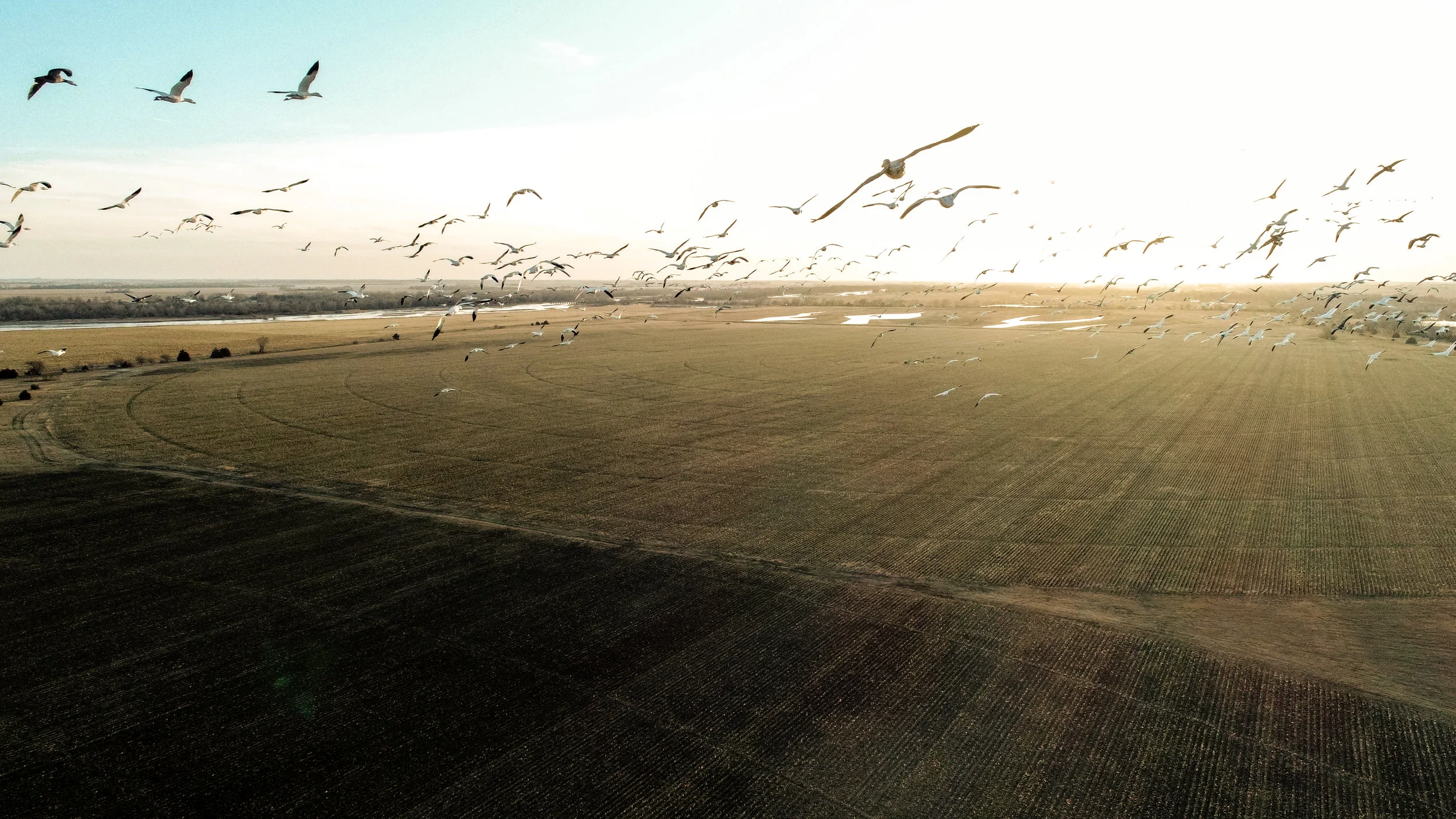 DJI_0224.jpg