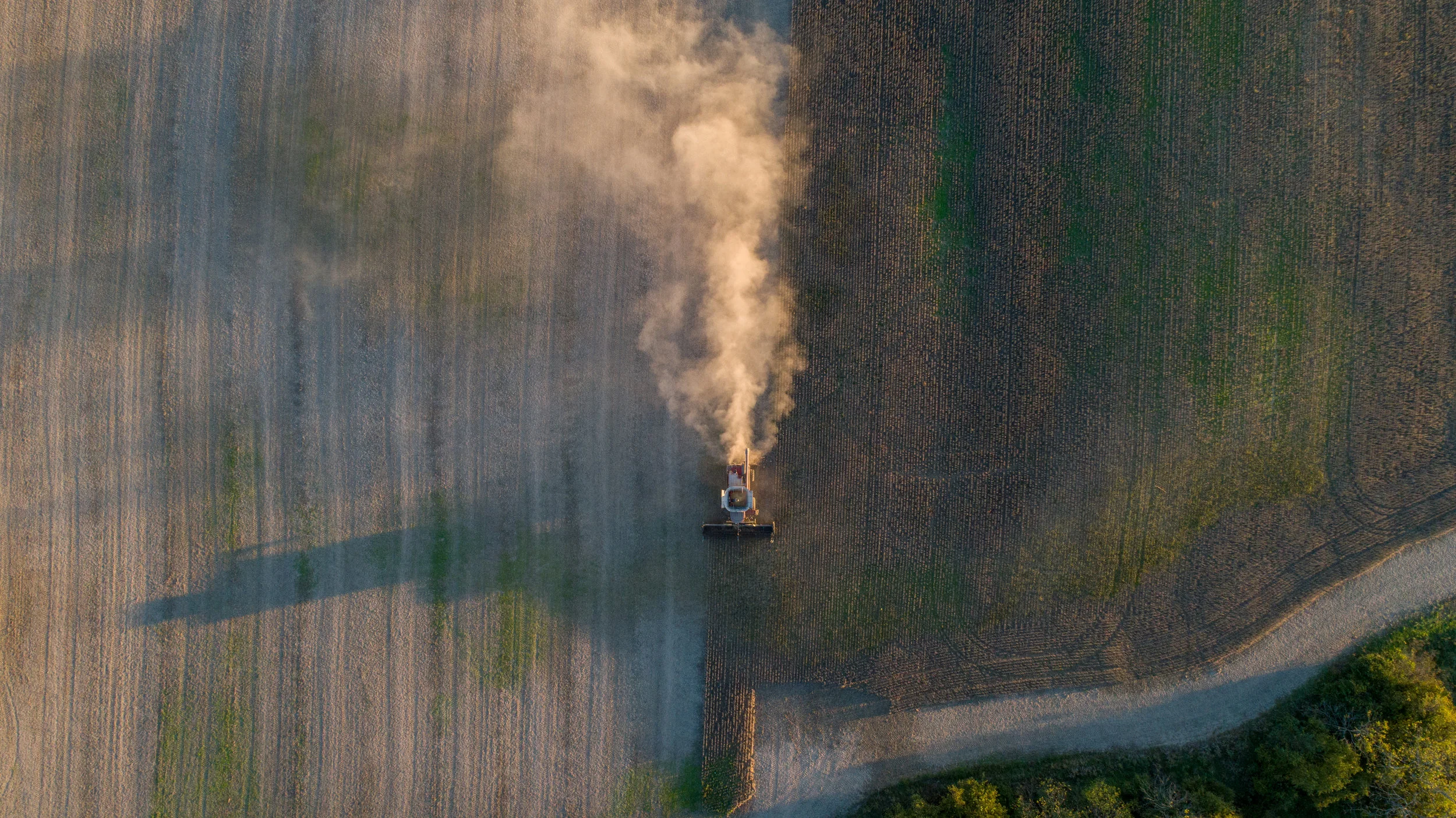 DJI_0430.jpg