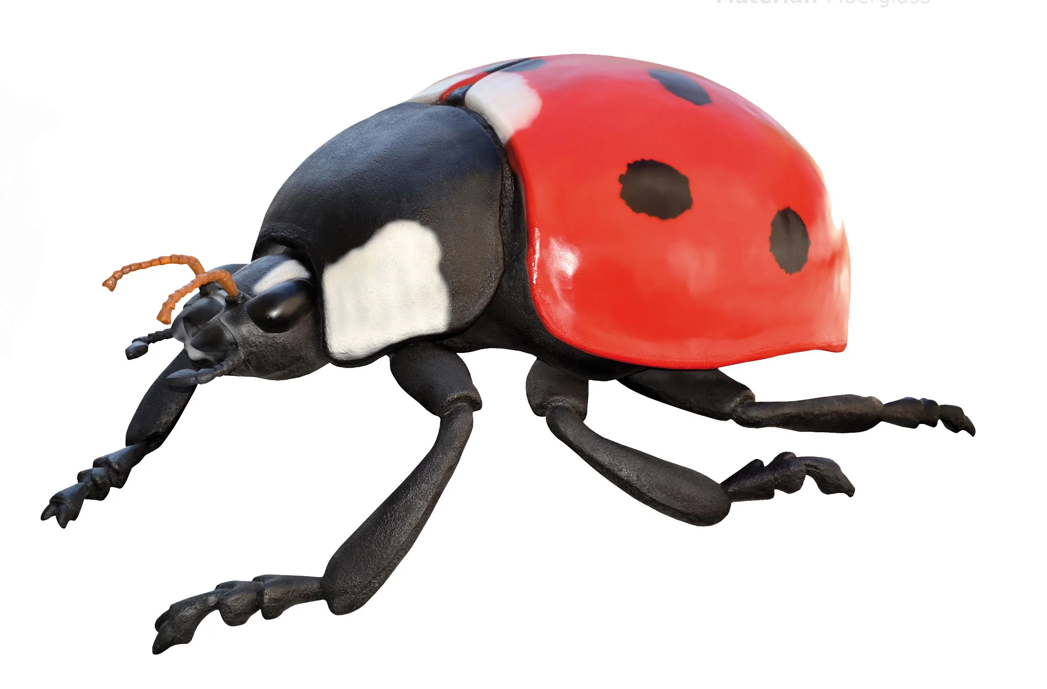 Insekt_frit_3.jpg