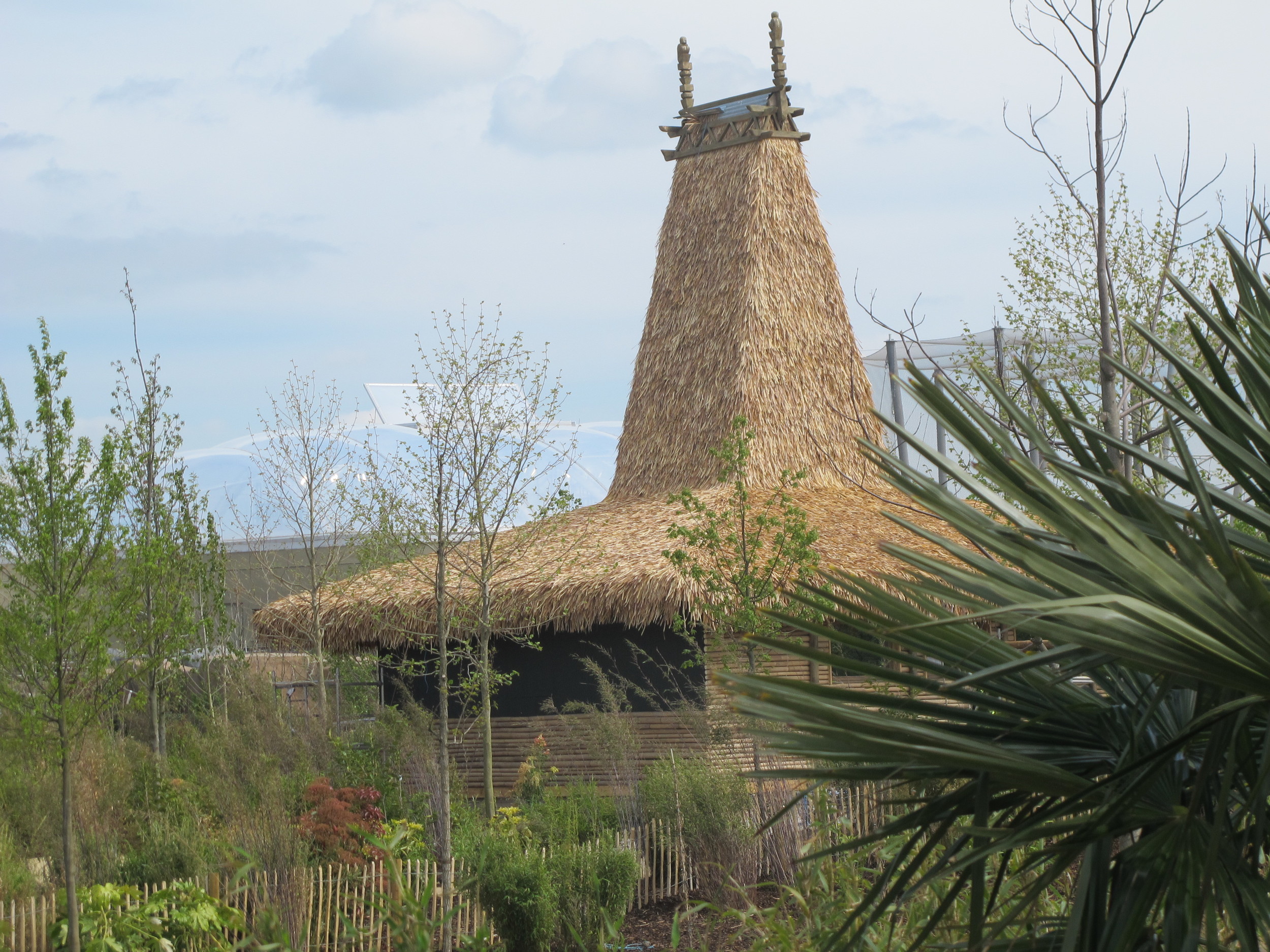 Chester Thatch 15 May 15 027.JPG