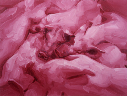 Pigs 5 2005 Oil on Canvas 36 x 48