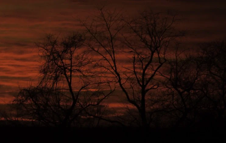 Winter-Fire-742x468.jpg