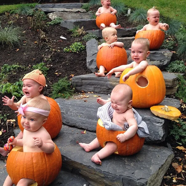 Reality-Babies-in-pumpkins. - Copy.jpg