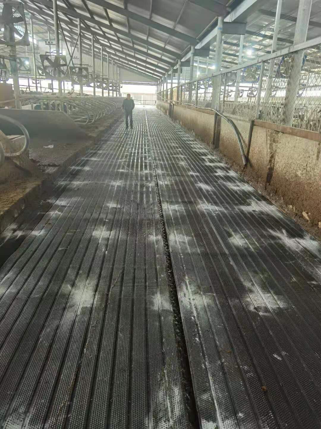 Photos of the flooring installed on a farm (4).jpg