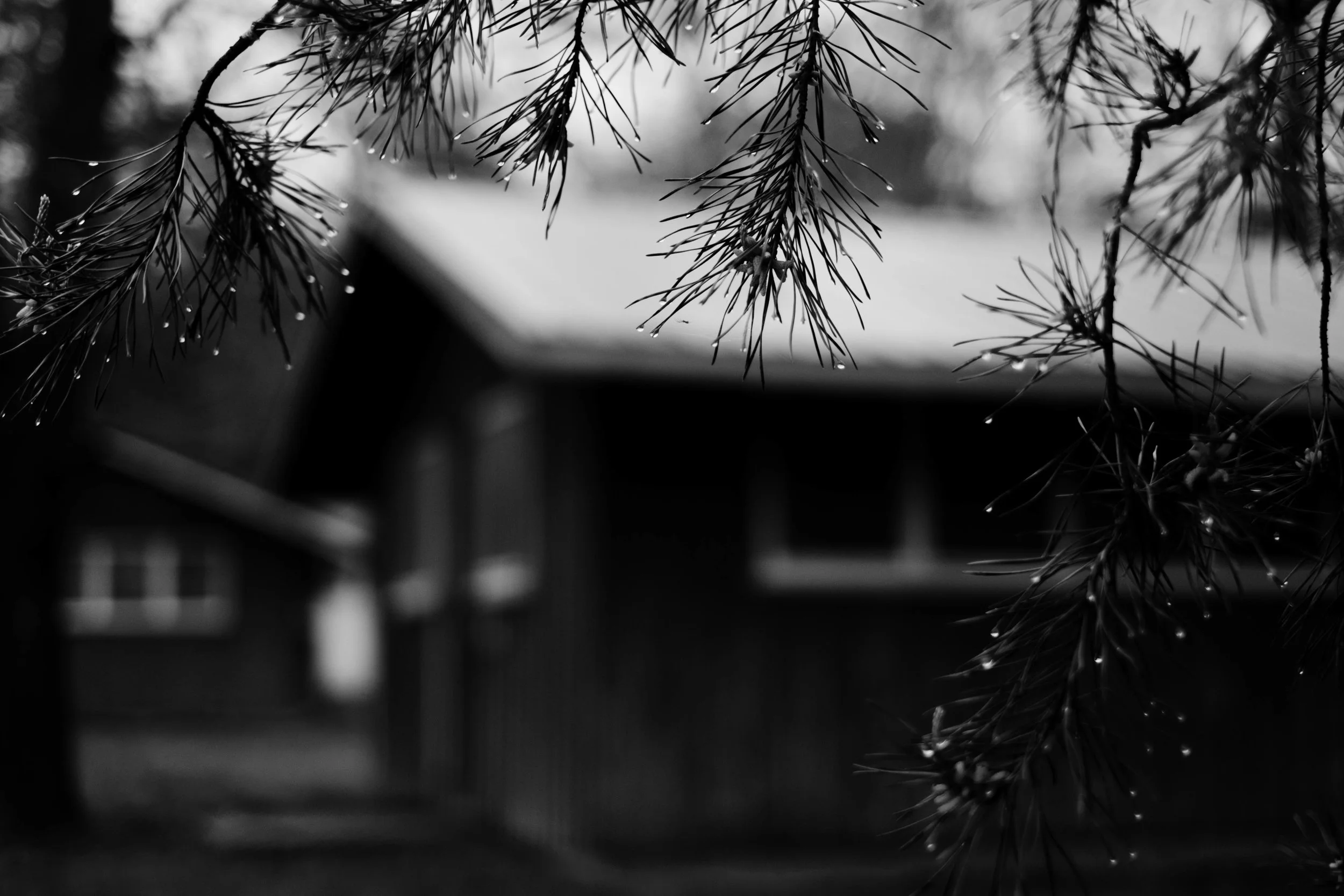 DSCF1159.jpg