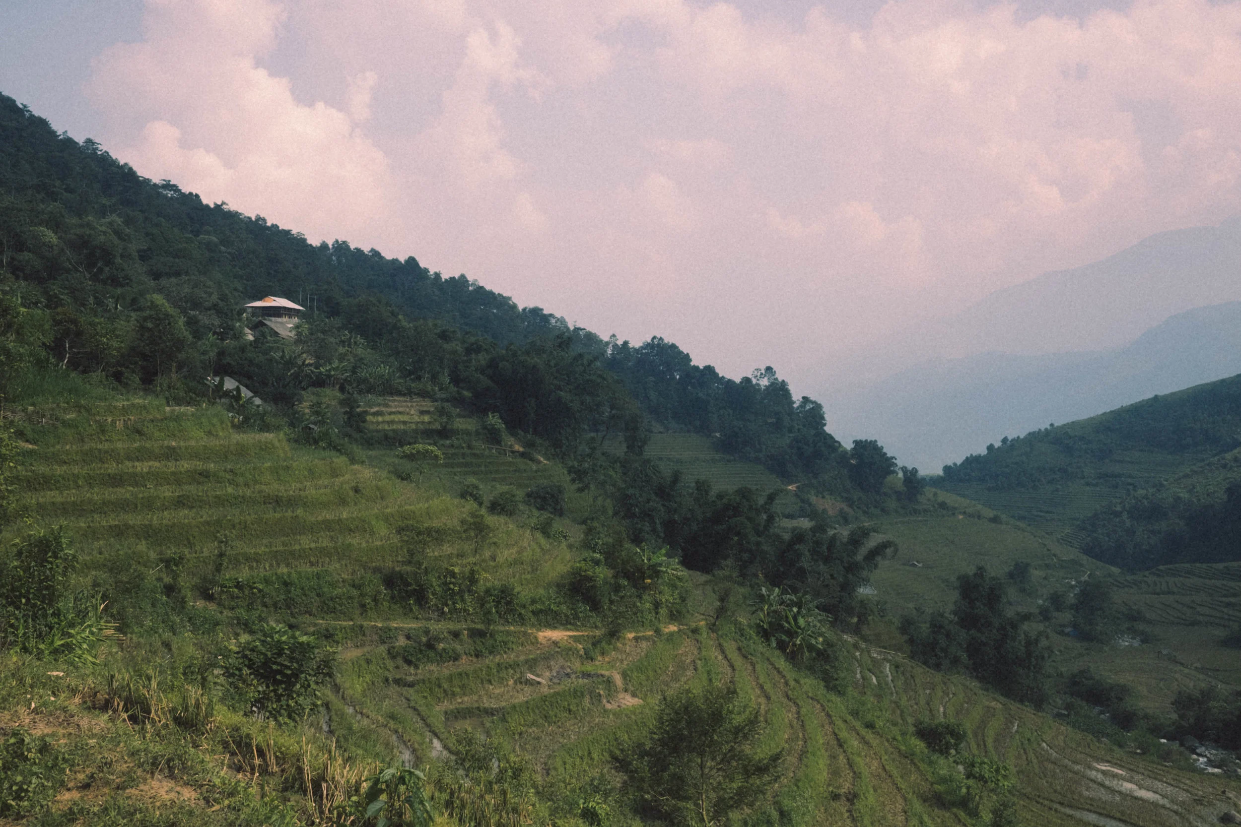 DSCF4536.jpg