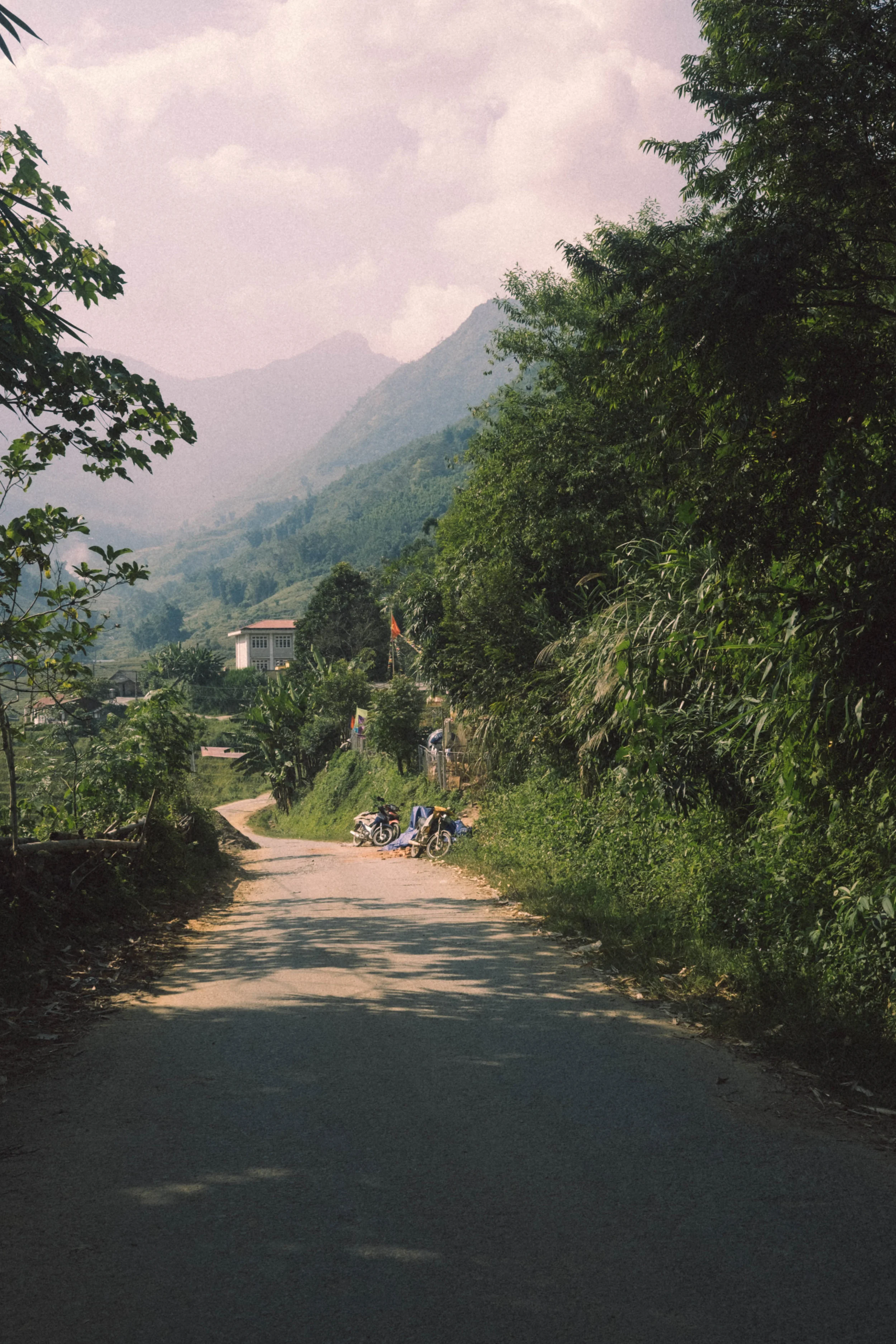 DSCF4559.jpg