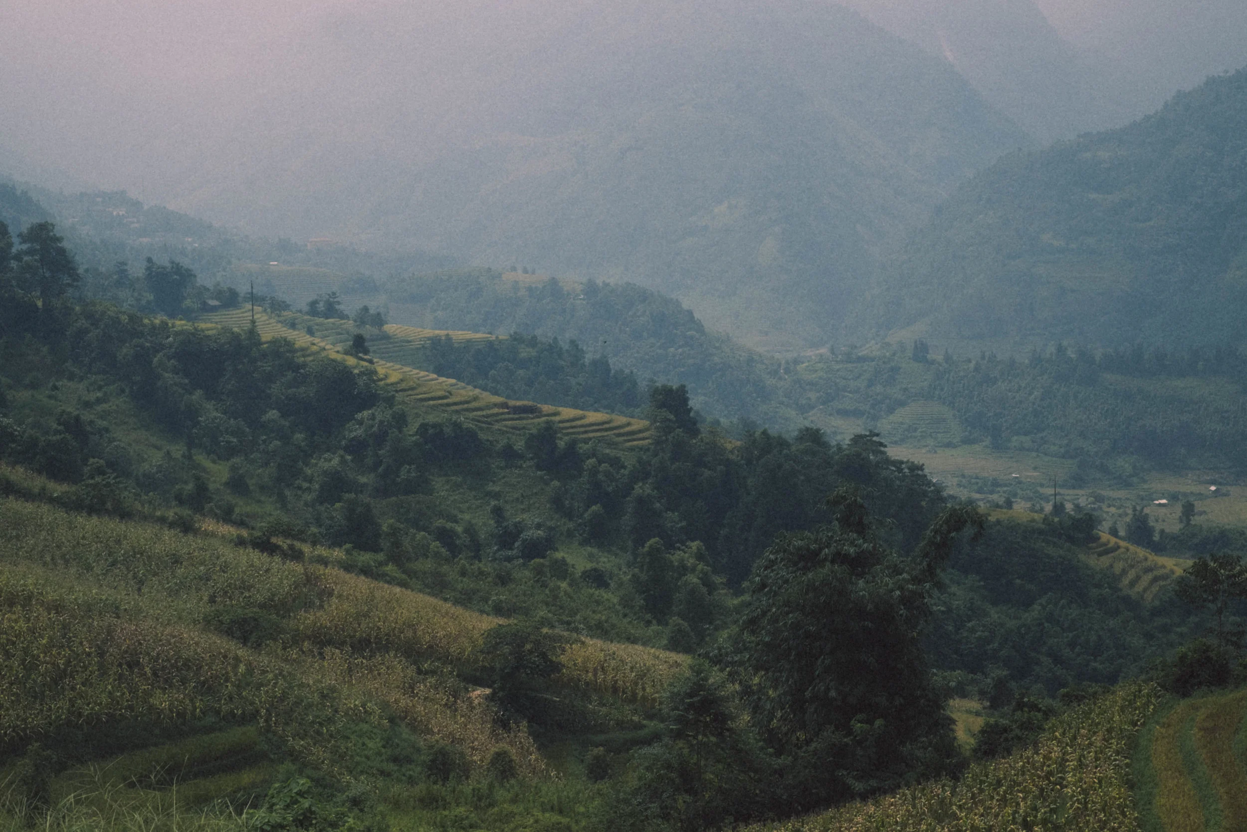 DSCF4692.jpg