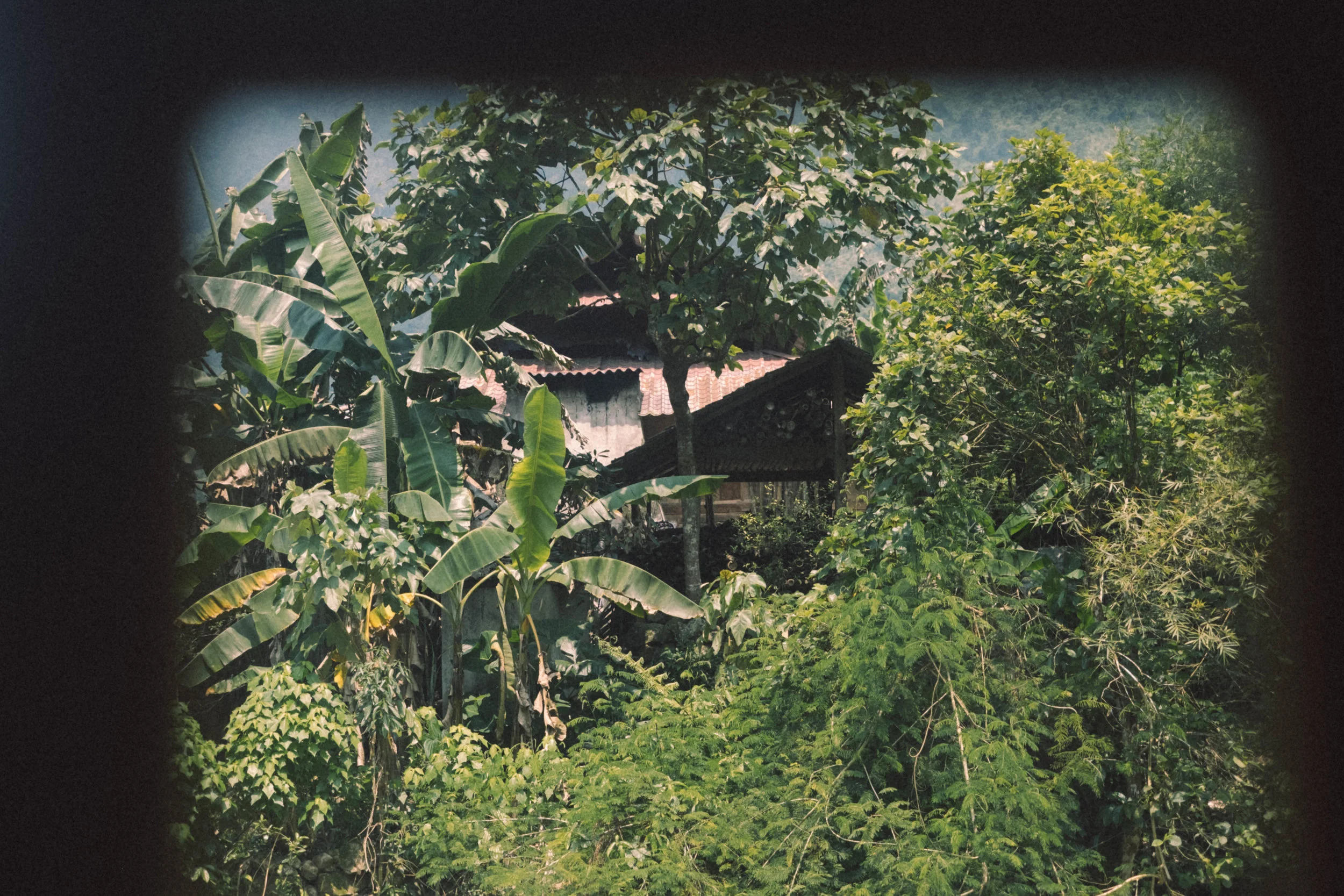 DSCF4760.jpg