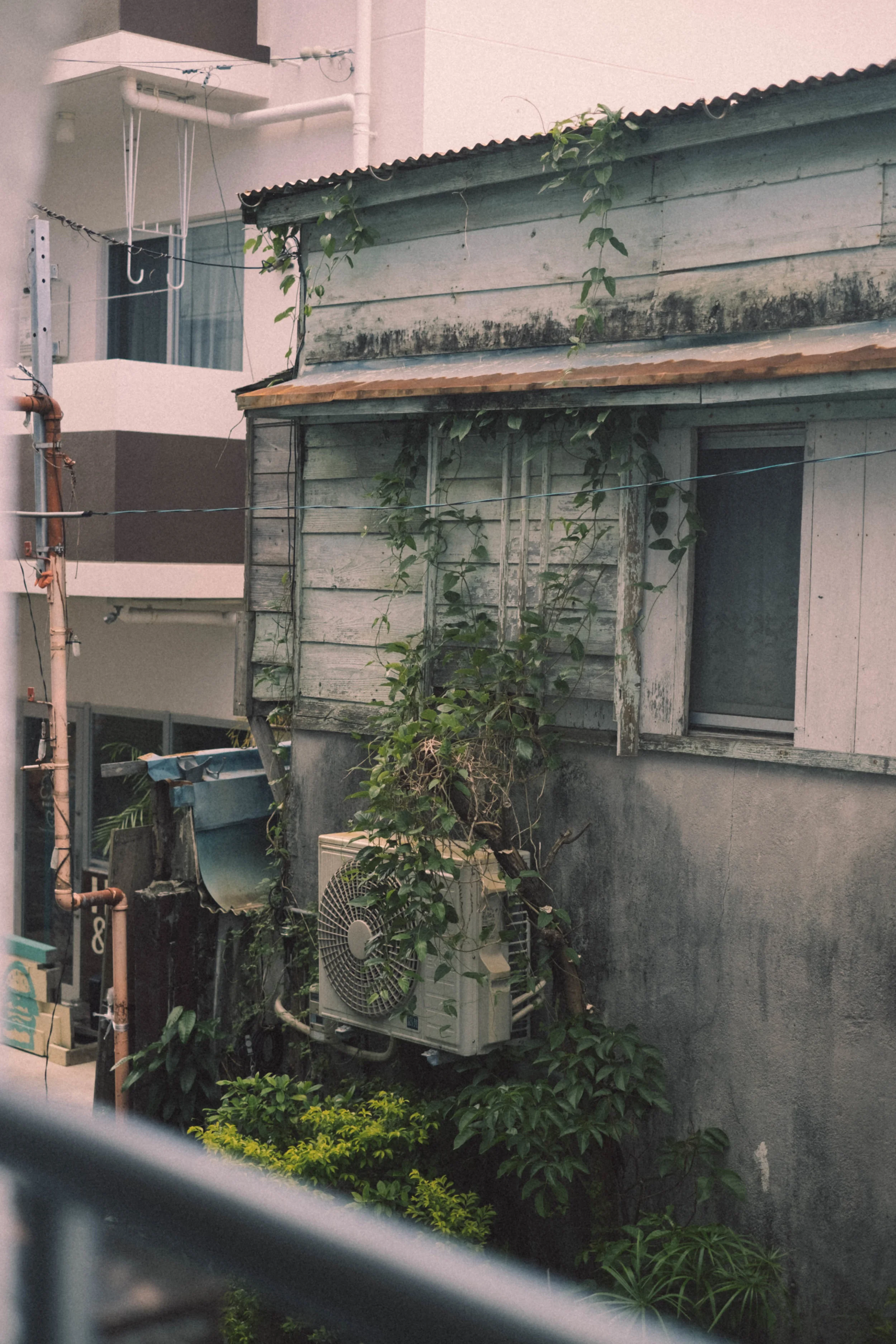 DSCF4254.jpg