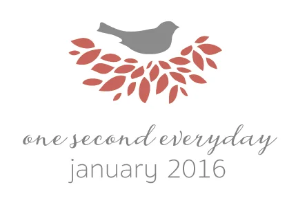 1SE - January 2016