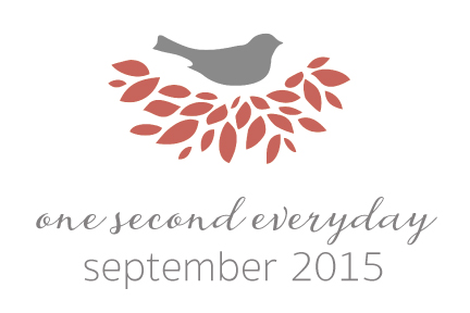 1SE - Our September 2015