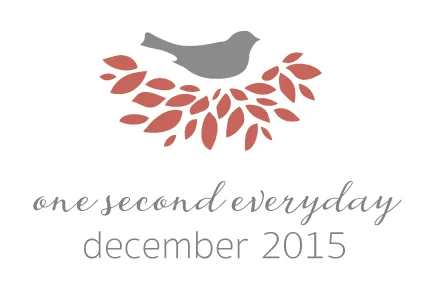 1SE - December 2015