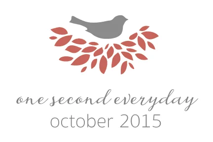 1SE - Our October 2015