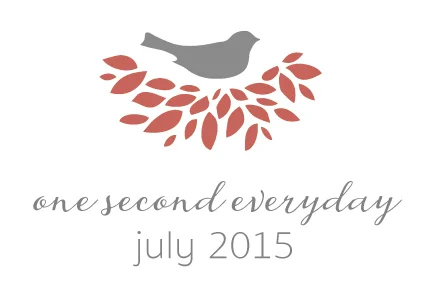 1SE - Our July 2015