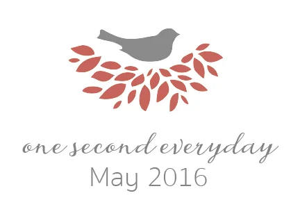 1SE - May 2016 - One Year!