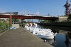 water sports swan pedalo