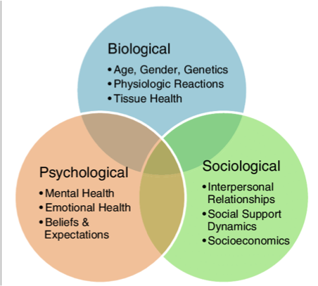 BIOPSYCSOC.png