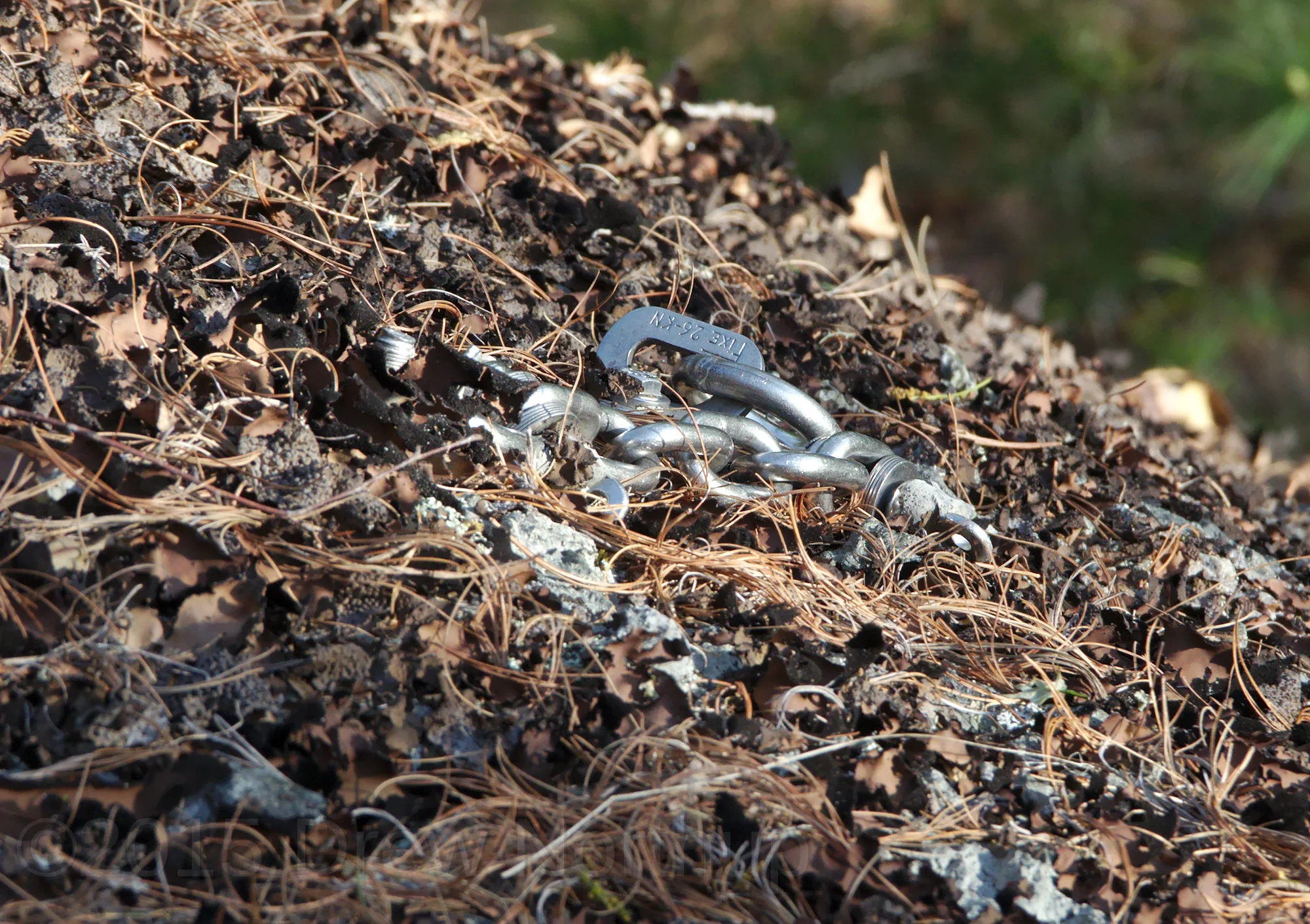 An anchor resting among the lichen; far Left of the Entrance Wall. Drew Northup; CC BY-NC-SA https://goo.gl/photos/otCLrrWhf1vSH76S9
