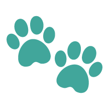 partnersArtboard 1 copy 6.png