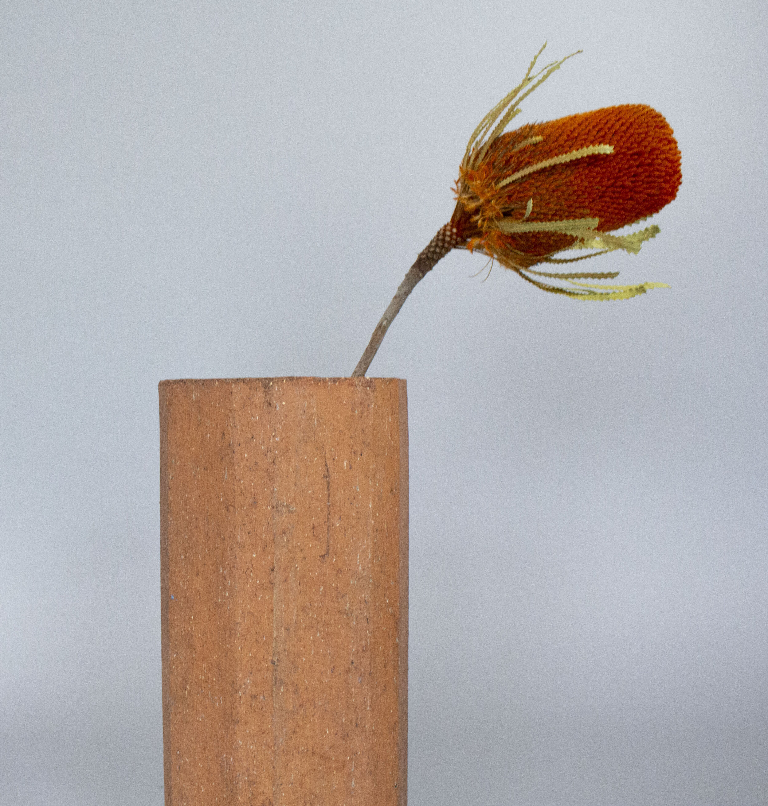 vase flower pic.jpg