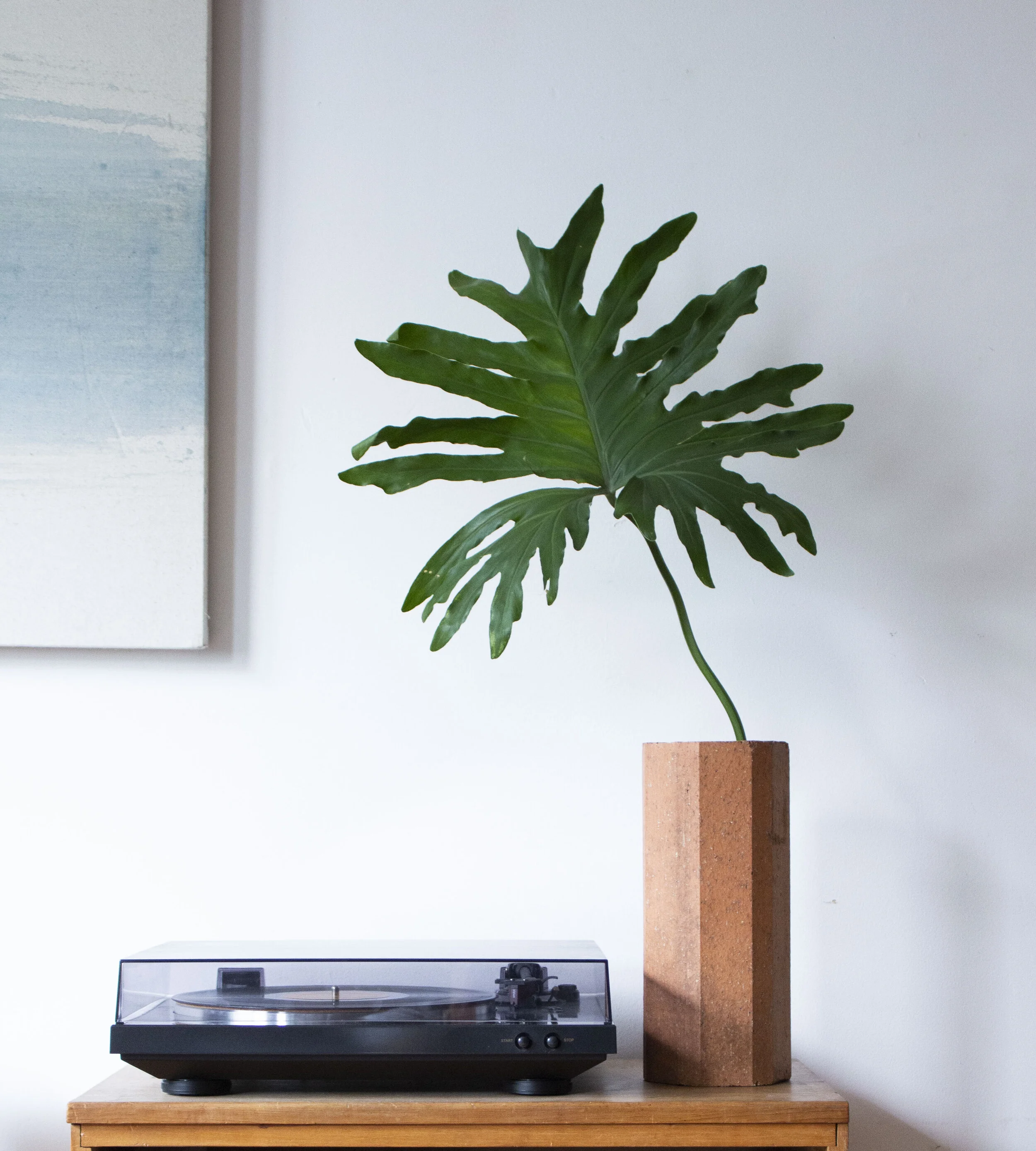 vase living pic.jpg