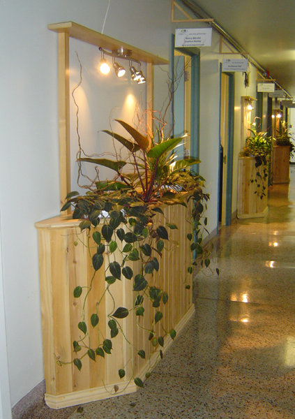 Module en bois CLD