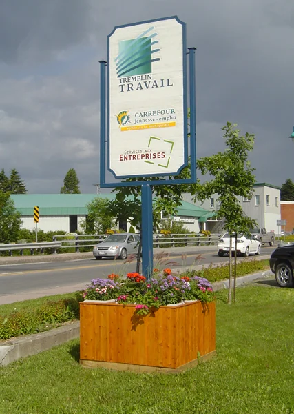 Module en bois | Tremplin Travail