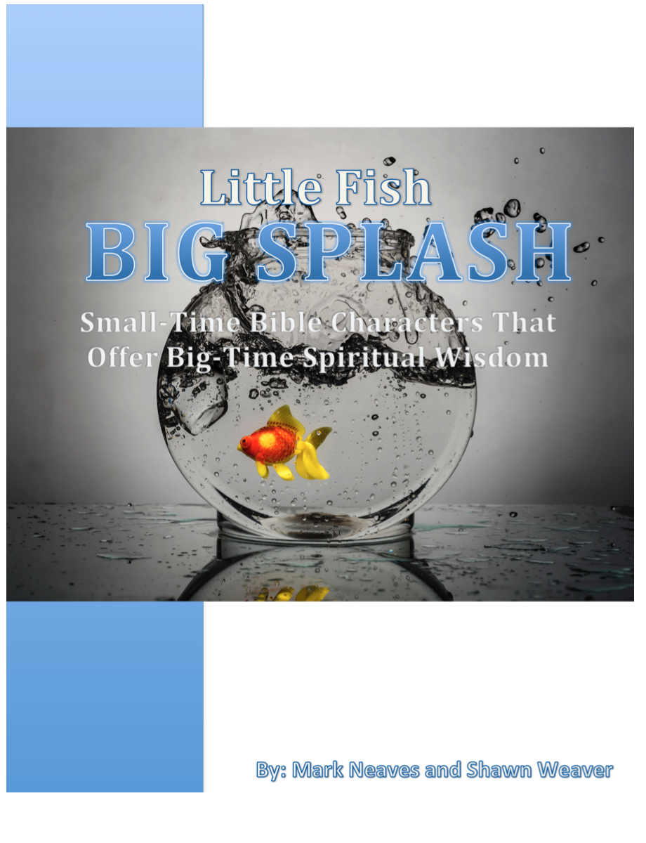 Little Fish, Big Splash