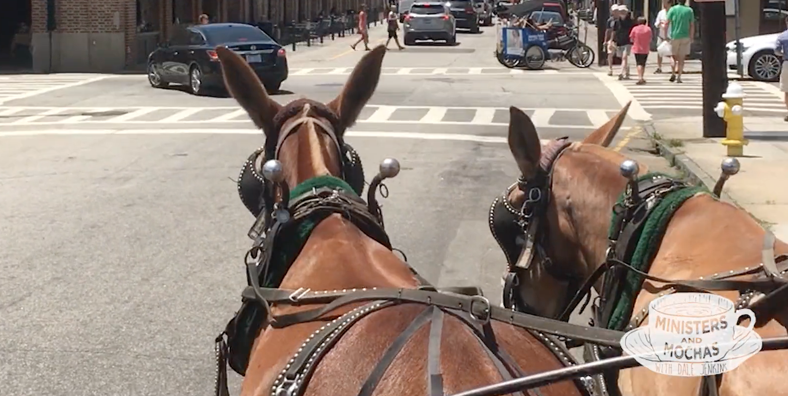 Horse & Buggy.png